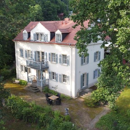 Villa Im Park Wachwitzgrund دريسدن المظهر الخارجي الصورة