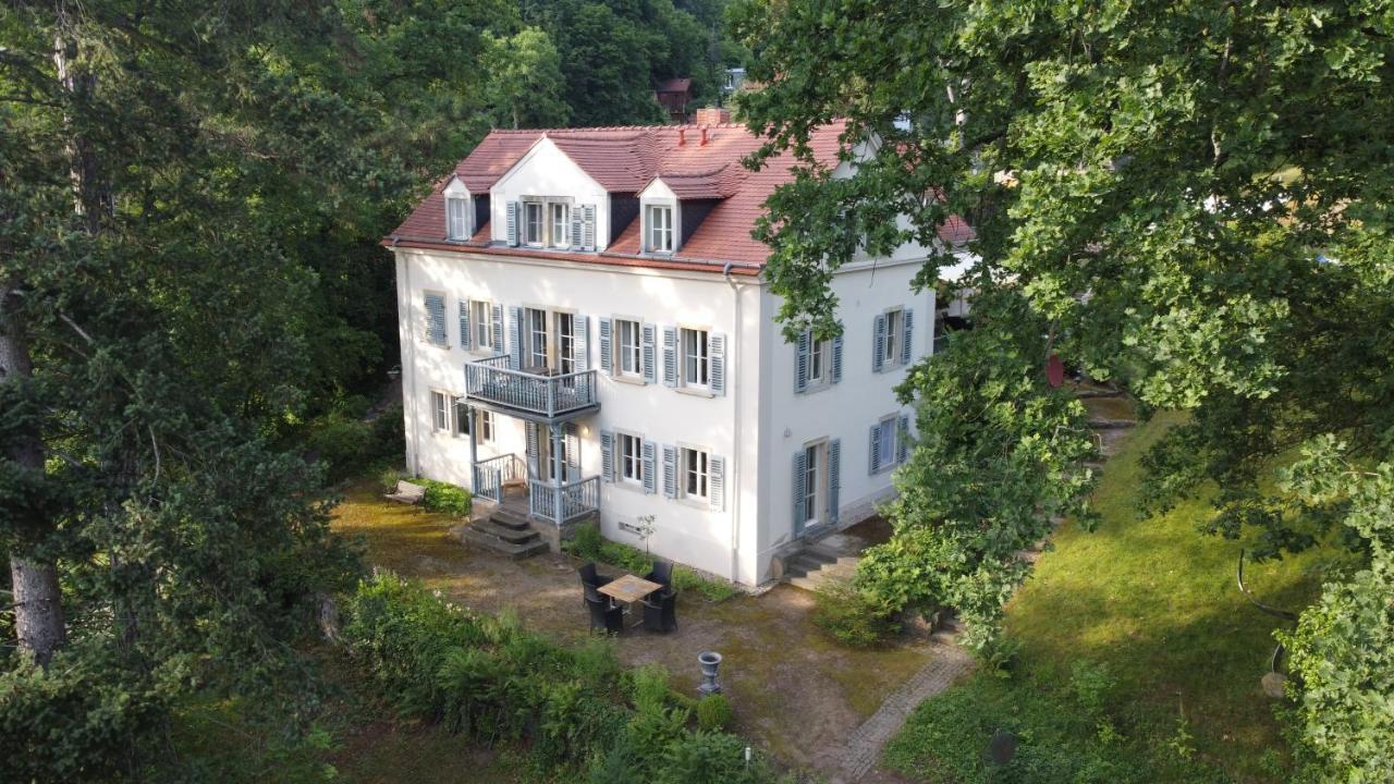 Villa Im Park Wachwitzgrund دريسدن المظهر الخارجي الصورة