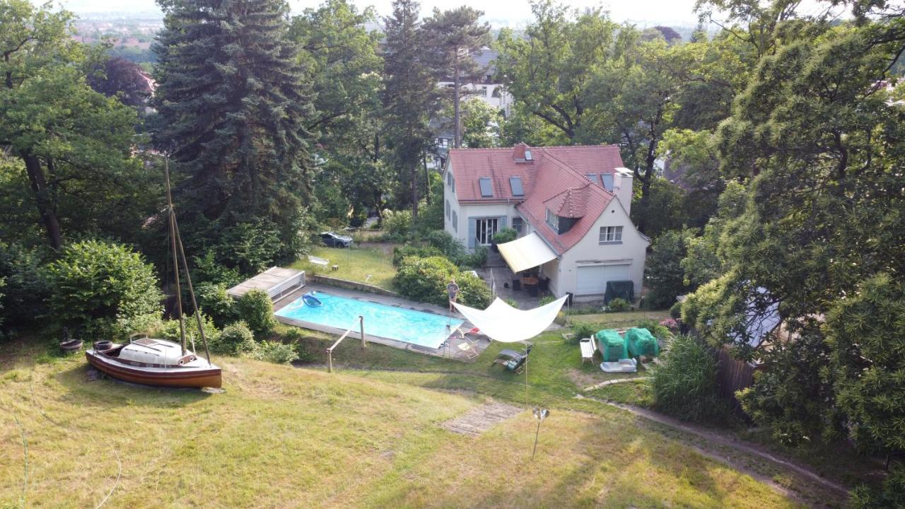 Villa Im Park Wachwitzgrund دريسدن المظهر الخارجي الصورة