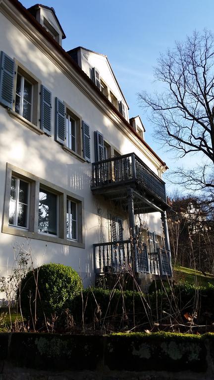 Villa Im Park Wachwitzgrund دريسدن المظهر الخارجي الصورة