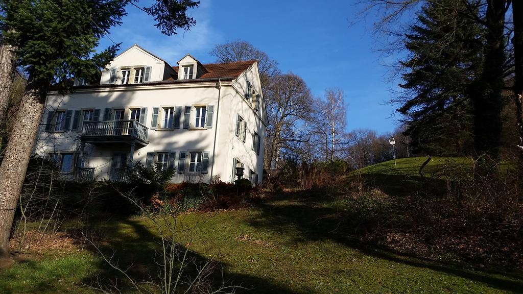 Villa Im Park Wachwitzgrund دريسدن المظهر الخارجي الصورة